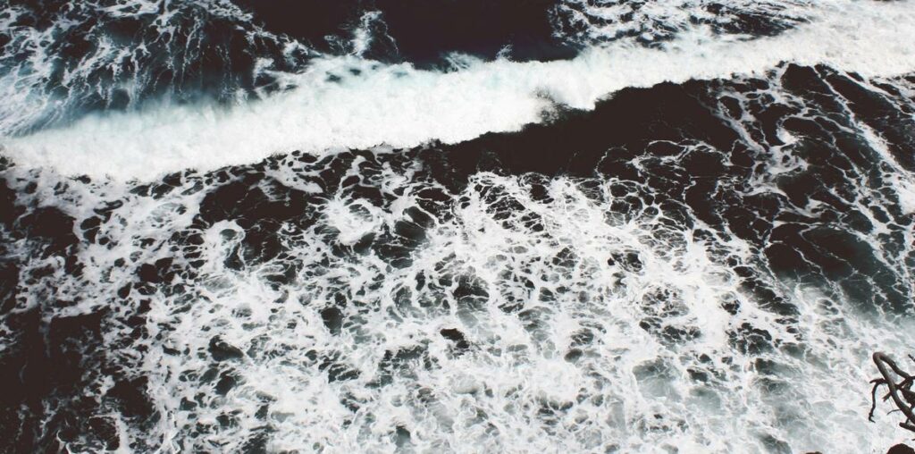 Explicabo molestias sed quae itaque