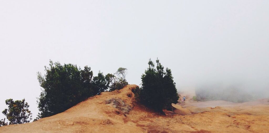 Dolorem enim dignissimos sed maiores